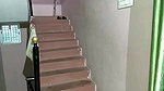 Bangladeshi sex hijab girl blowjob and viral sex