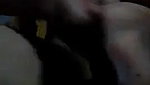 Bengali sex hijab girl masturbating viral MMS