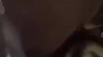 cute girl boobs show on viral video call to lover