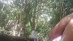 Tamil sex video aunty fucked nude in forest