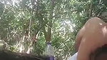 Tamil sex video aunty fucked nude in forest