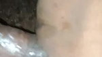 village maid pussy fucking by owner desi viral MMS