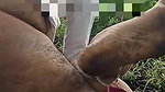 cheating wife outdoor sex with padosan viral video