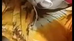 Bangladeshi college girl boobs show to lover