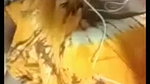 Bangladeshi college girl boobs show to lover