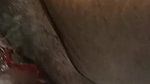 Tamil sex aunty pink pussy deflowering viral MMS