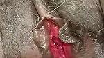 Tamil sex aunty pink pussy deflowering viral MMS