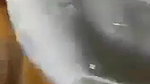 Paki girl outdoor sex in car viral video