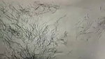husband fucking hairy pussy wife viral Pashto sex