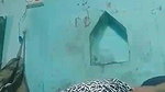 village Indian girl nude boobs and pussy show