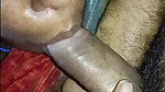 village maid sucking dick with boobs show