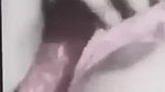 girlfriend boobs show to lover on viral live call