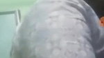 chubby Indian girlfriend showing big boobs