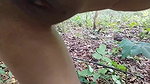 Indian outdoor porn girl fucking in jungle