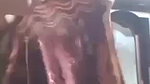 Bangladeshi girlfriend big boobs show in shyness