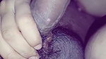 Sexy Wife Sucking Hubby Dick