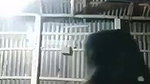 Indian fingering village girl naked viral show