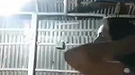 Indian fingering village girl naked viral show