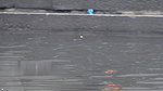 VID 20260418 1