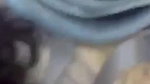 ladies hostel lesbian girls fun play
