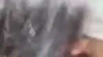 Cute babe giving blowjob