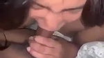 Cute babe giving blowjob