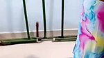 saree bahbhi asset show 2