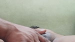 Indian Desi bhabi oil massage.  .