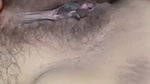 tango girl Nnandini boob dabake chut ragdi
