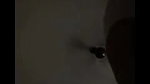 sex vc with gf