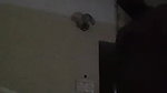 lovers homemade sex