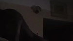 lovers homemade sex