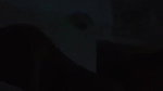 lovers homemade sex