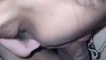 bj di