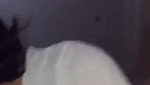 Slim Girl Riding On Boyfriend Dick