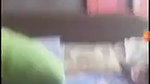 Shy Wife Playing With Husband Dick