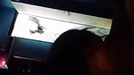 bhabhi sucking dick of devar in desi viral sex