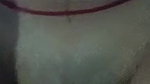 first time virgin sex with lover in college sex