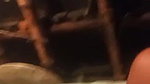 urban village bhabhi sex in standing position