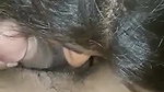 Pakistani girl desi anal sex with cream spread