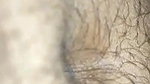 horny wife Indian blowjob to hubby with balls suck