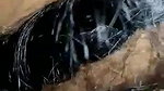 horny wife Indian blowjob to hubby with balls suck