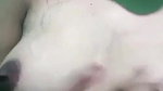 second year college sex girl nude selfie