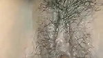 bhabhi hairy pussy desi fingering by Devar