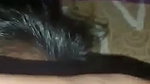 bhabhi hairy pussy desi fingering by Devar