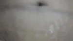 New update Mature Wife Pussy Fingered By Husband