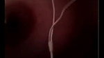 Desi big boobs bhabhi viral nude pussy rubbing