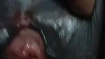 devar pressing bhabhi boobs incest viral mms sex