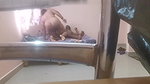 desi mature sex mom fucking viral xxx MMS
