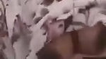 bhabhi boob press and nude desi video call